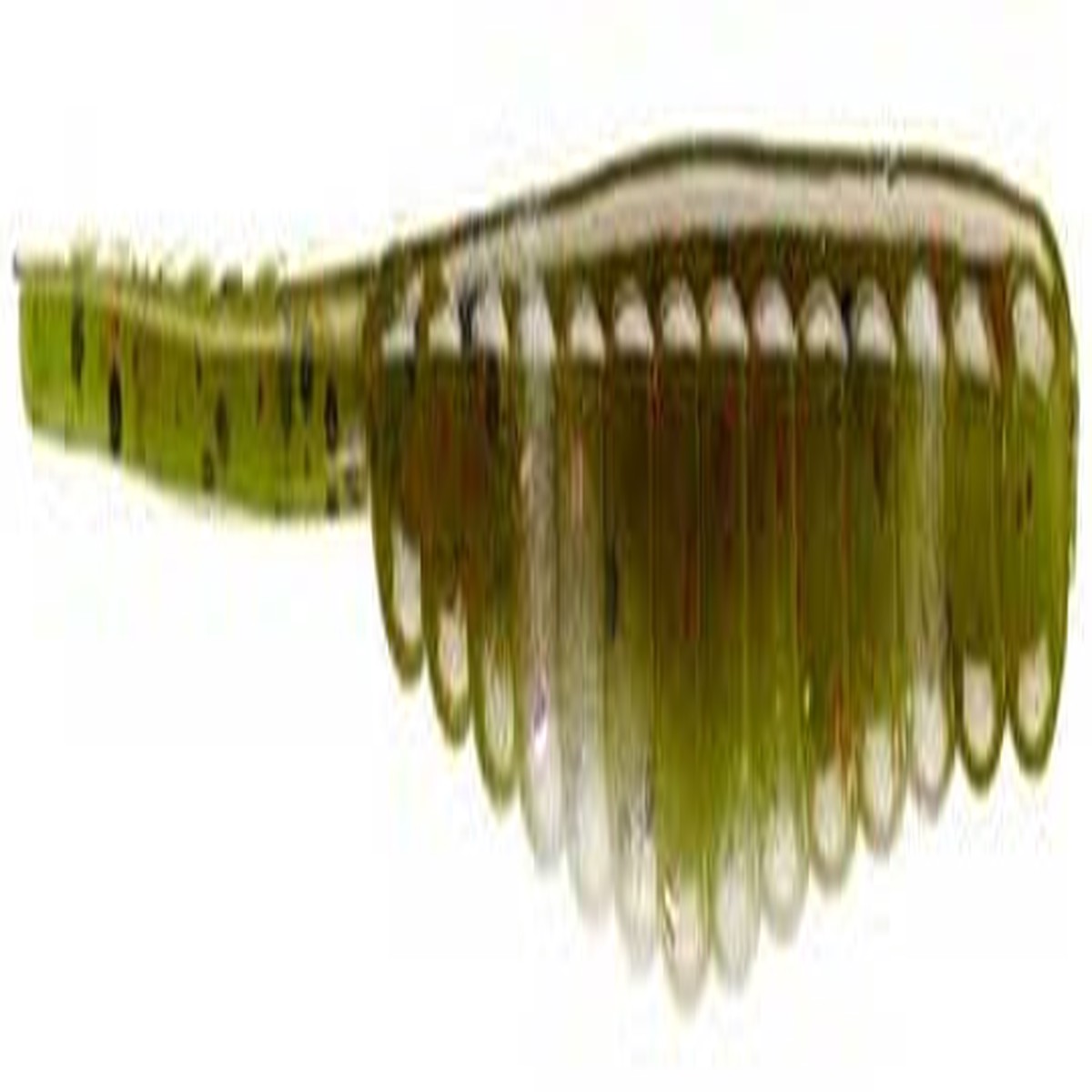 Gambler Forward Facing Series Shad