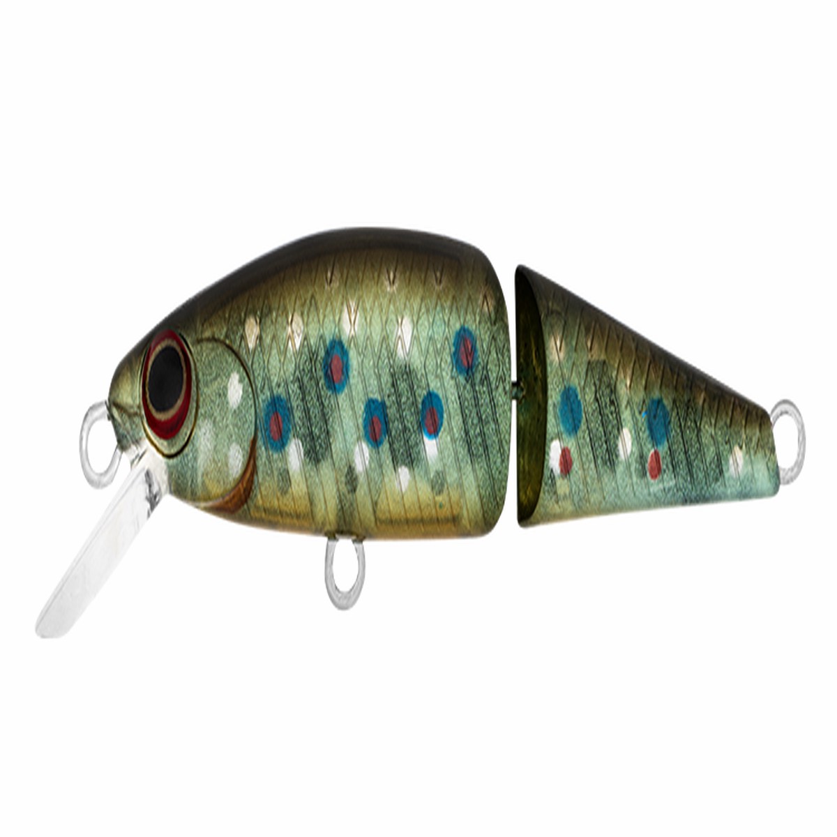 SilverCreek DR MINNOW JOINT II 50S