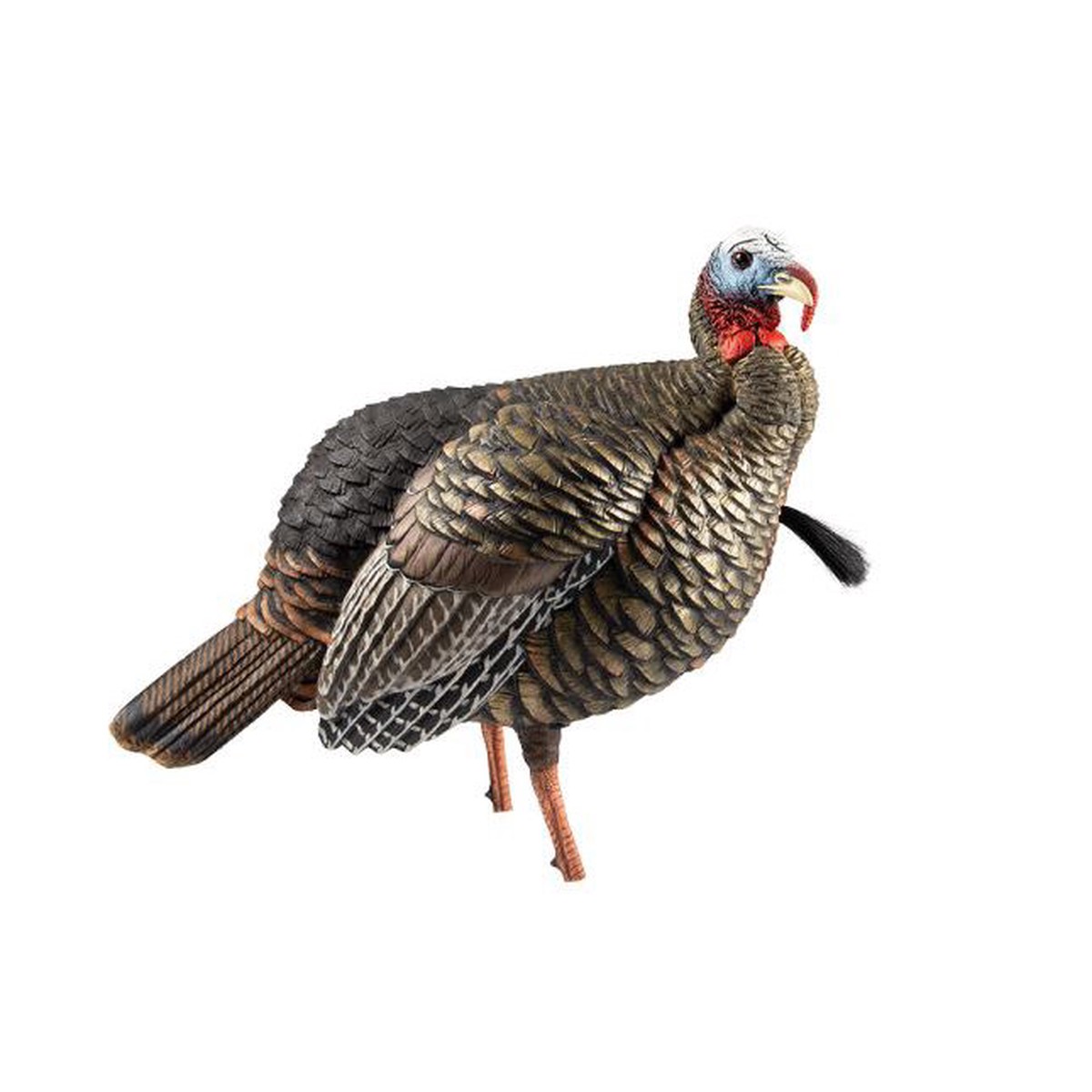 Avian-X HDR Jake Turkey Decoy AVX-AVX8105
