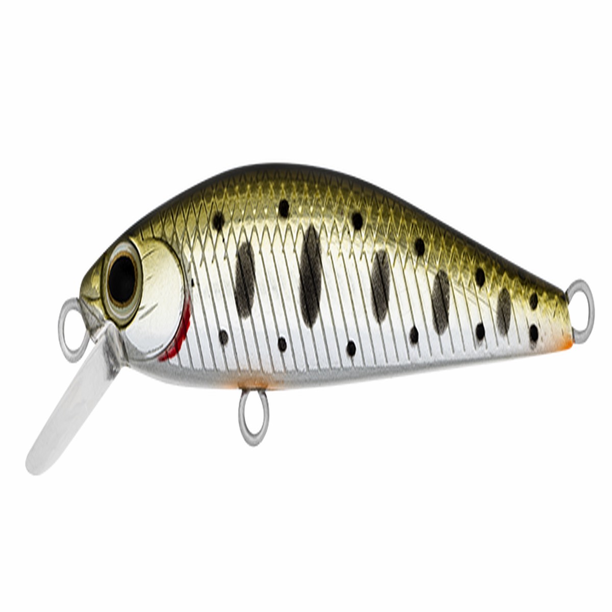 SilverCreek DR MINNOW II 50S