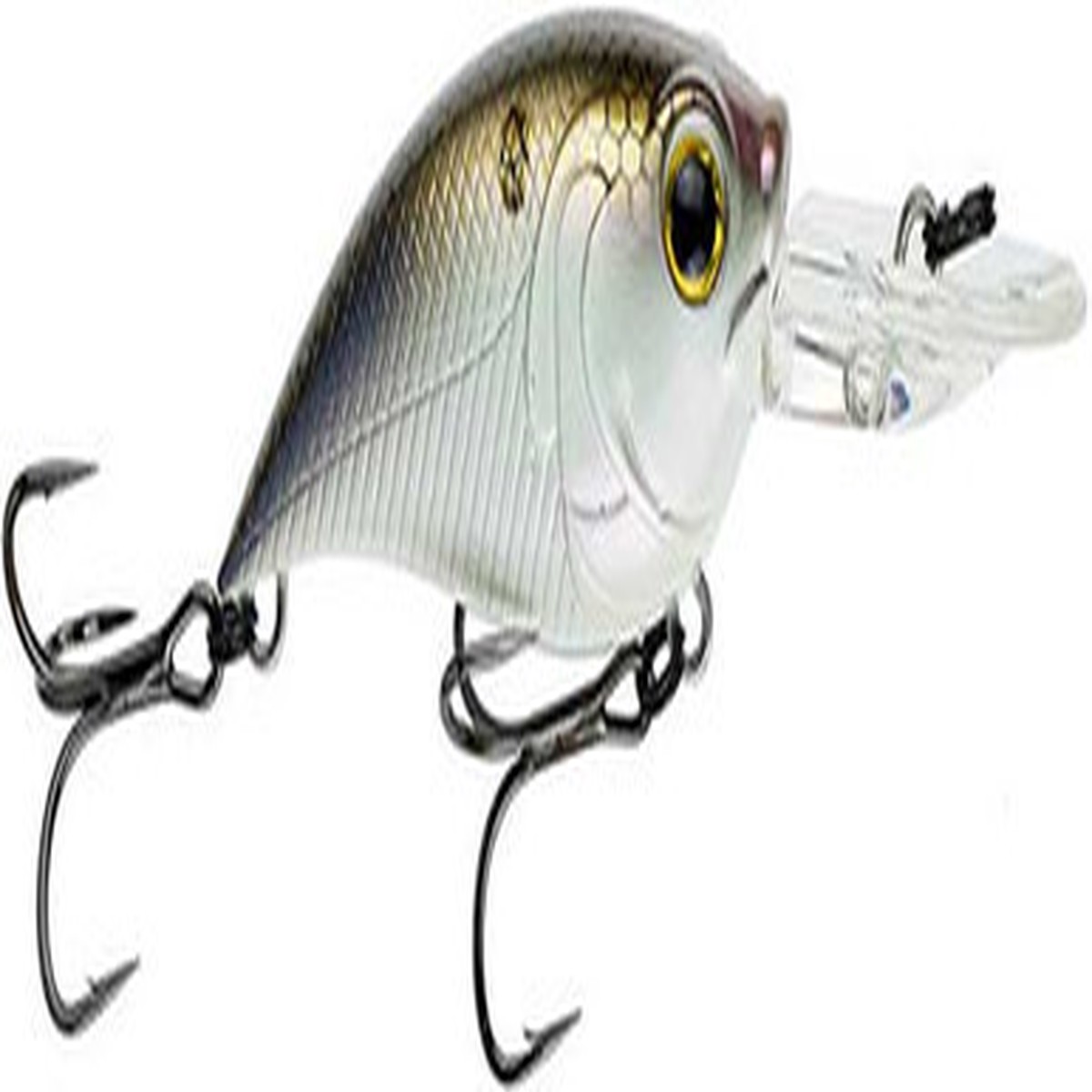 6th Sense Curve 55 Crankbait